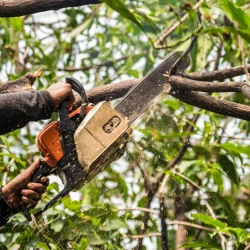 Tree Removal Near Me In Downers Grove